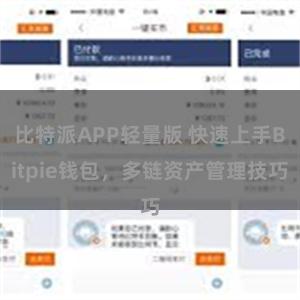 比特派APP轻量版 快速上手Bitpie钱包，多链资产管理技巧