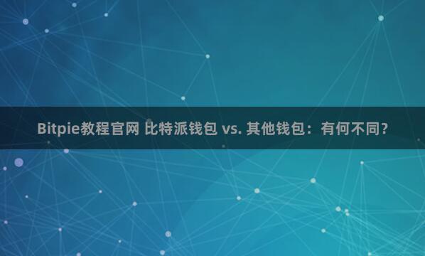 Bitpie教程官网 比特派钱包 vs. 其他钱包：有何不同？