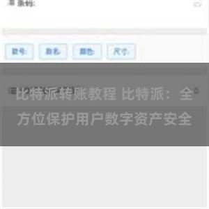 比特派转账教程 比特派：全方位保护用户数字资产安全