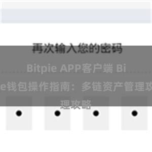 Bitpie APP客户端 Bitpie钱包操作指南：多链资产管理攻略