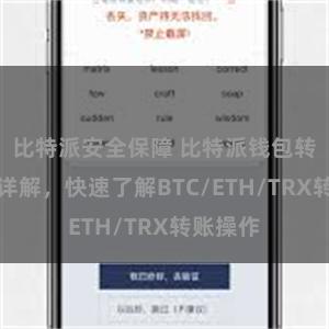 比特派安全保障 比特派钱包转账教程详解，快速了解BTC/ETH/TRX转账操作