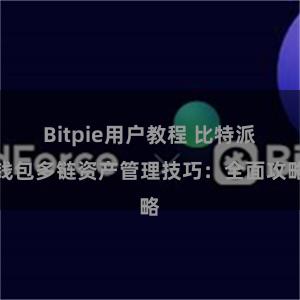 Bitpie用户教程 比特派钱包多链资产管理技巧：全面攻略