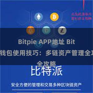 Bitpie APP地址 Bitpie钱包使用技巧：多链资产管理全攻略