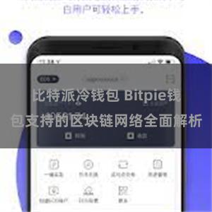 比特派冷钱包 Bitpie钱包支持的区块链网络全面解析