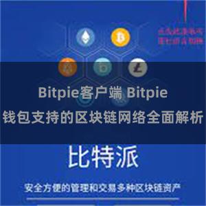 Bitpie客户端 Bitpie钱包支持的区块链网络全面解析