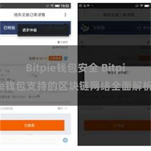 Bitpie钱包安全 Bitpie钱包支持的区块链网络全面解析