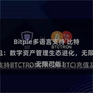 Bitpie多语言支持 比特派钱包：数字资产管理生态进化，无限可能！