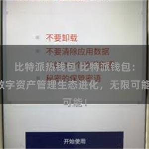 比特派热钱包 比特派钱包：数字资产管理生态进化，无限可能！