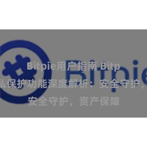 Bitpie用户指南 Bitpie钱包隐私保护功能深度解析：安全守护，资产保障