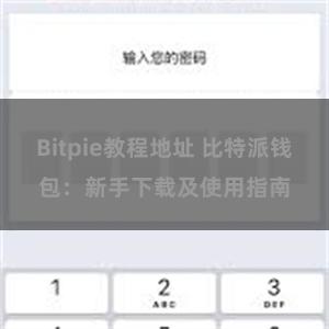 Bitpie教程地址 比特派钱包：新手下载及使用指南