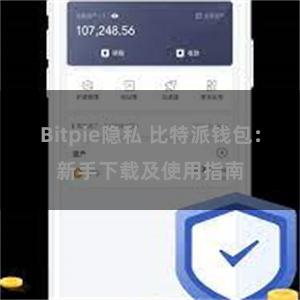 Bitpie隐私 比特派钱包：新手下载及使用指南