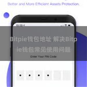 Bitpie钱包地址 解决Bitpie钱包常见使用问题