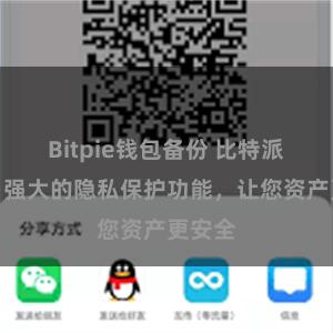 Bitpie钱包备份 比特派钱包：强大的隐私保护功能，让您资产更安全