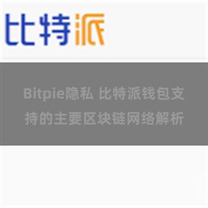 Bitpie隐私 比特派钱包支持的主要区块链网络解析