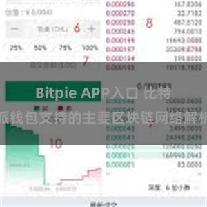 Bitpie APP入口 比特派钱包支持的主要区块链网络解析