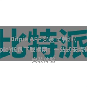 Bitpie APP安装 比特派(Bitpie)钱包下载指南：一站式安装体验