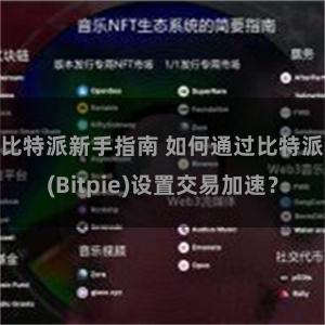 比特派新手指南 如何通过比特派(Bitpie)设置交易加速？