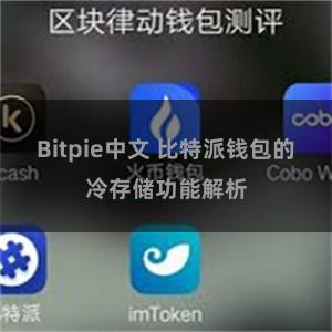 Bitpie中文 比特派钱包的冷存储功能解析